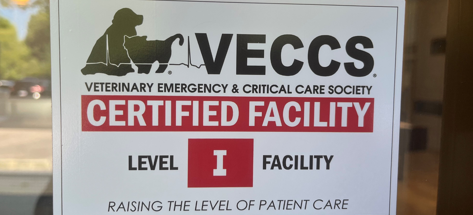 VECCS Level 1